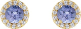 14K Gold Natural Tanzanite Round 4-Prong Halo-Style Earrings - Yellow Gold - view 4