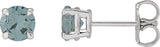 Platinum Natural Gray Spinel Round 4-Prong Claw Stud Earrings