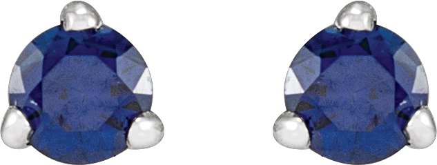 Platinum Natural Blue Sapphire Round 3-Prong Claw Cocktail-Style Stud Earrings - view 2