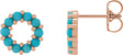 14K Gold Round Natural Turquoise Halo-Style Cabochon Earrings - Rose Gold