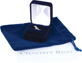 14K Gold Cross & Heart Chastity Ring II - White Gold - view 3
