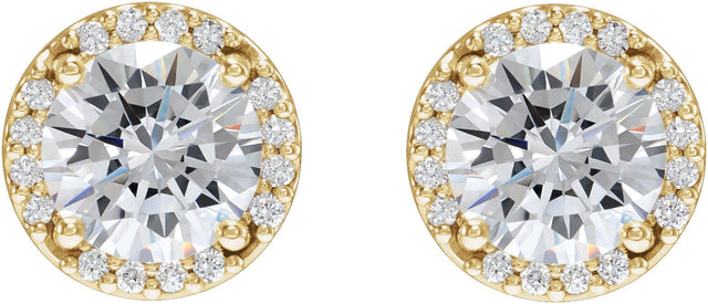 14K Gold Lab-Grown Moissanite Round Halo-Style Low Stud Earrings - Yellow Gold - view 6