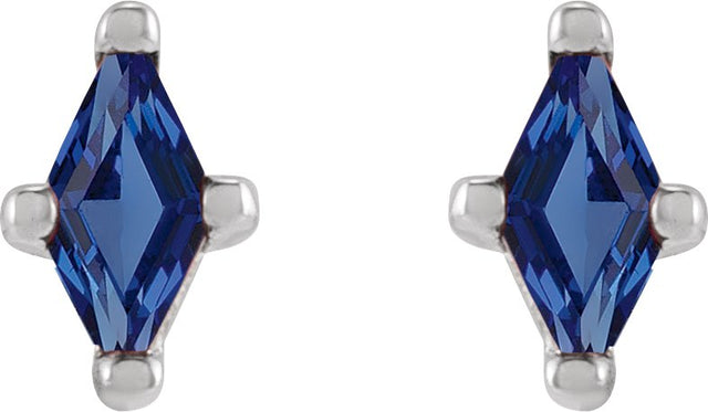 Platinum Lab-Grown Blue Sapphire Lozenge 4-Prong Stud Earrings - view 4