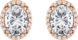 14K Gold Lab-Grown Moissanite Oval 4-Prong Halo-Style Low Stud Earring - Rose Gold - view 6