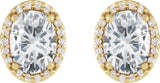 14K Gold Lab-Grown Moissanite Oval 4-Prong Halo-Style Low Stud Earring - Yellow Gold - view 6