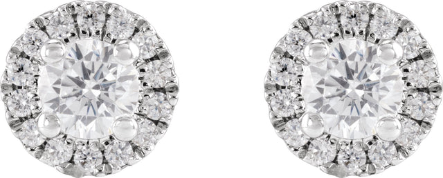 14K Gold Round Lab-Grown Diamond Cocktail-Style Halo-Style Stud Earrings - White Gold - view 4