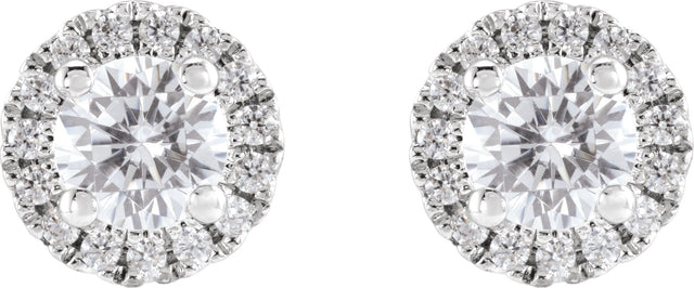 14K Gold Round Lab-Grown Diamond Cocktail-Style Halo-Style Stud Earrings - White Gold - view 4