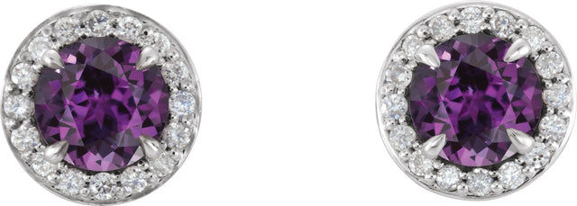 14K Gold Lab-Grown Alexandrite Round 4-Prong Halo-Style Earrings – 3.5-5mm Stones - White Gold - view 6
