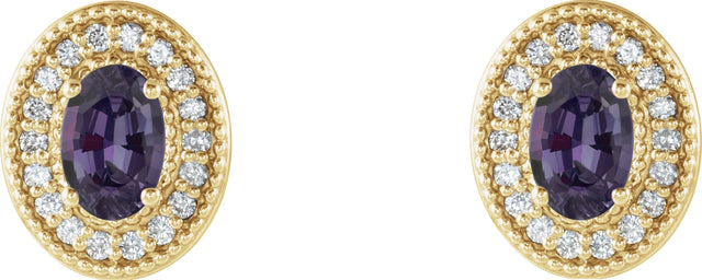 14K Gold Lab-Grown Alexandrite & Natural Diamond Oval 4-Prong Halo-Style Earrings - Yellow Gold - view 4