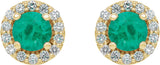 14K Gold Natural Emerald Round 4-Prong Halo-Style Earrings II - Yellow Gold - view 8