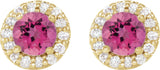 14K Gold Natural Pink Tourmaline Round 4-Prong Halo-Style Earrings II - Yellow Gold - view 8