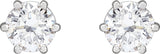 14K Gold Lab-Grown Diamond Round 6-Prong Stud Earrings - White Gold - view 6