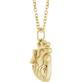 14K Gold Anatomical Heart Necklace or Pendant - Yellow Gold - view 2