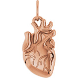 14K Gold Anatomical Heart Necklace or Pendant - Rose Gold