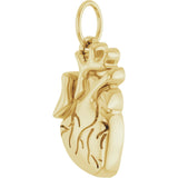 14K Gold Anatomical Heart Necklace or Pendant - Yellow Gold - view 2