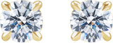 14K Gold Lab-Grown Diamond Round Cocktail-Style Stud Earrings - Yellow Gold - view 2