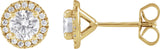 14K Gold Round Lab-Grown Diamond Cocktail-Style Halo-Style Stud Earrings - Yellow Gold