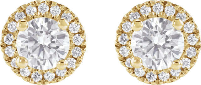 14K Gold Round Lab-Grown Diamond Cocktail-Style Halo-Style Stud Earrings - Yellow Gold - view 2