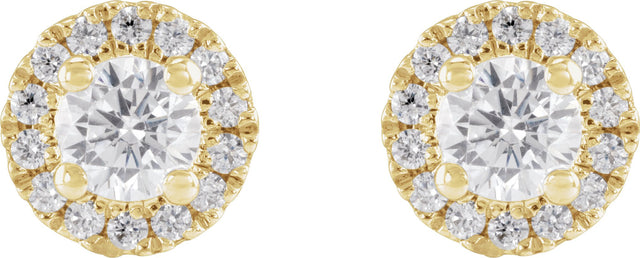 14K Gold Round Lab-Grown Diamond Cocktail-Style Halo-Style Stud Earrings - Yellow Gold - view 2