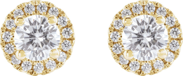 14K Gold Round Lab-Grown Diamond Cocktail-Style Halo-Style Stud Earrings - Yellow Gold - view 2