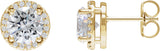 14K Gold Lab-Grown Moissanite Round Halo-Style Low Stud Earrings - Yellow Gold