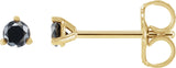 14K Gold Natural Black Diamond Round 3-Prong Stud Earrings - Yellow Gold