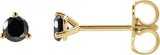 14K Gold Natural Black Diamond Round 3-Prong Stud Earrings - Yellow Gold