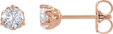 14K Gold Natural Diamond Round 3-Prong Fleur-de-lis Earrings - Rose Gold