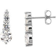 Platinum Round Natural Diamond Journey Earrings