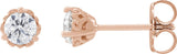 14K Gold Natural Diamond Round 3-Prong Scroll Stud Earrings - Rose Gold