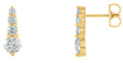 14K Gold Round Natural Diamond Journey Earrings - Yellow Gold
