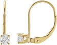 14K Gold Natural Diamond Round Lever Back Earrings - Yellow Gold