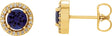 14K Gold Round Natural Blue Sapphire Halo-Style Earrings - Yellow Gold