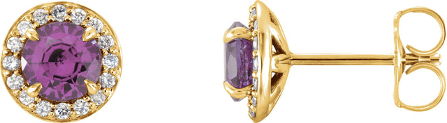 14K Gold Natural Amethyst Round 4-Prong Halo-Style Earrings – 3.5-5mm Stones - Yellow Gold