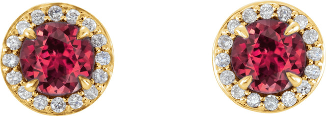 14K Gold Natural Ruby Round 4-Prong Halo-Style Earrings – 3.5-5mm Stones - Yellow Gold - view 2