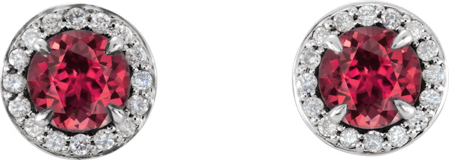 14K Gold Natural Ruby Round 4-Prong Halo-Style Earrings – 3.5-5mm Stones - White Gold