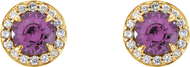 14K Gold Natural Amethyst Round 4-Prong Halo-Style Earrings – 3.5-5mm Stones - Yellow Gold - view 2