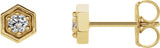 14K Gold Round Natural Diamond Hexagon Earrings - Yellow Gold