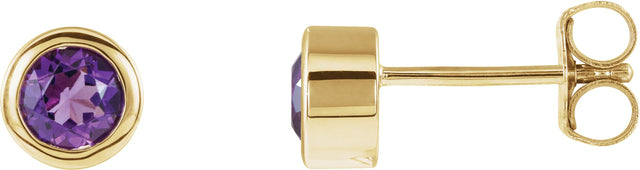 14K Gold Natural Amethyst Round Bezel-Set Birthstone Stud Earrings - Yellow Gold