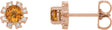 14K Gold Natural Citrine Round 4-Prong Halo-Style Earrings - Rose Gold