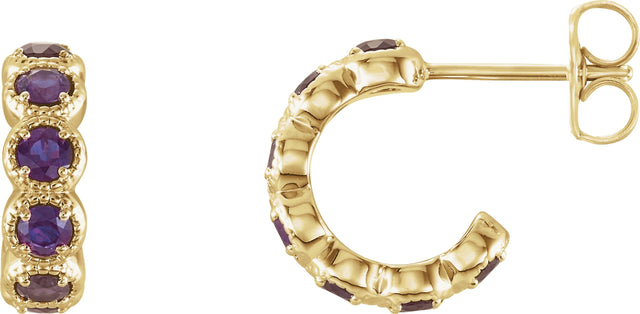 14K Gold Round Natural Amethyst Accented Hoop Earrings - Yellow Gold