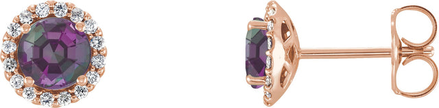 14K Gold Lab-Grown Alexandrite Round 4-Prong Halo-Style Earrings – 3-6mm Stones - Rose Gold