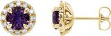 14K Gold Round Natural Amethyst French-Set Halo-Style Earrings - Yellow Gold
