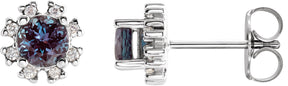 Platinum Lab-Grown Alexandrite Round 4-Prong Halo-Style Earrings