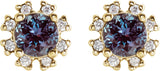 14K Gold Lab-Grown Alexandrite Round 4-Prong Halo-Style Earrings - Yellow Gold - view 2