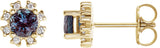14K Gold Lab-Grown Alexandrite Round 4-Prong Halo-Style Earrings - Yellow Gold