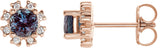 14K Gold Lab-Grown Alexandrite Round 4-Prong Halo-Style Earrings - Rose Gold