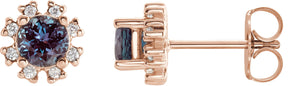 14K Gold Lab-Grown Alexandrite Round 4-Prong Halo-Style Earrings - Rose Gold