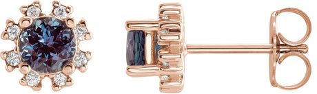 14K Gold Lab-Grown Alexandrite Round 4-Prong Halo-Style Earrings - Rose Gold