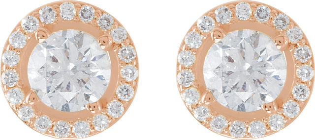 14K Gold Lab-Grown Diamond Round 4-Prong Halo-Style Earrings - Rose Gold - view 2